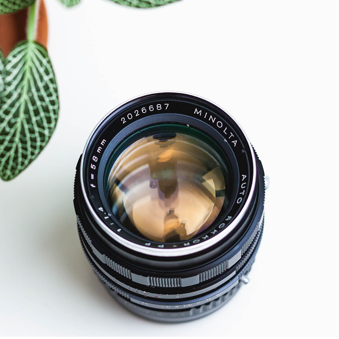 Product Image 05