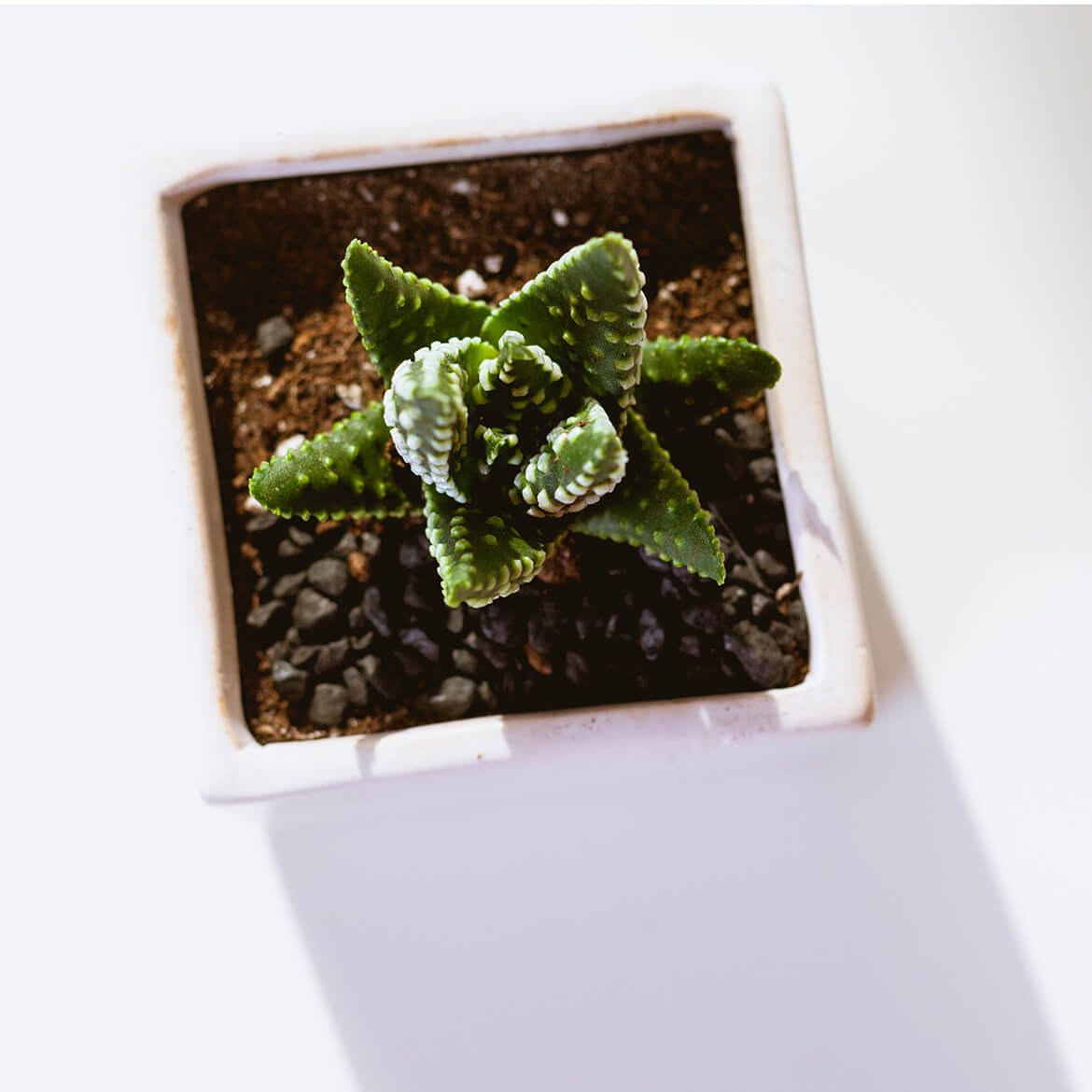Product Image 06
